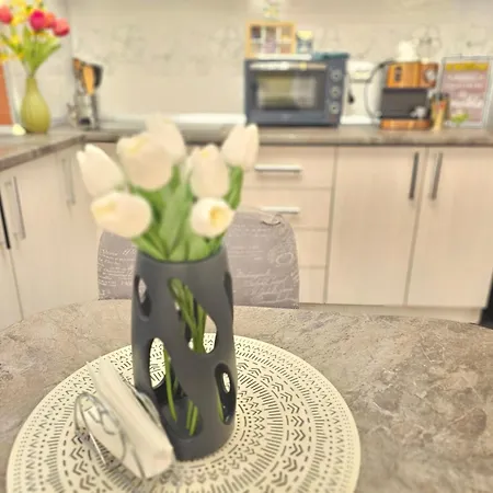 Unirii Center Apartment
