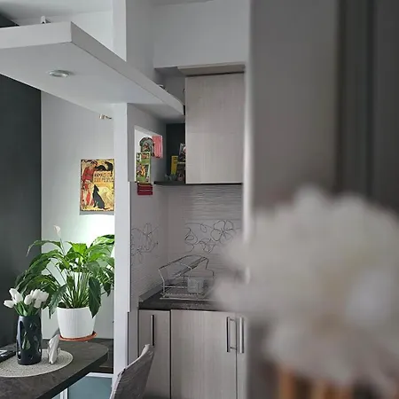 Apartment Unirii Center *
